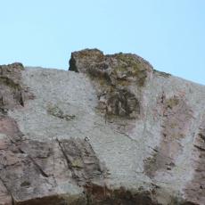 AREZZO DI SPOLETO STEMMI ED ISCRIZIONI DI ANTICHI CASTELLI DEL